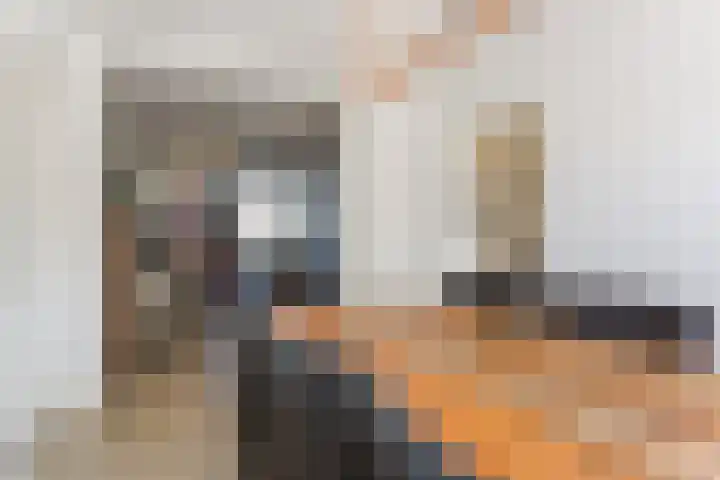 Evieveld 1 Gemert thumbnail 15