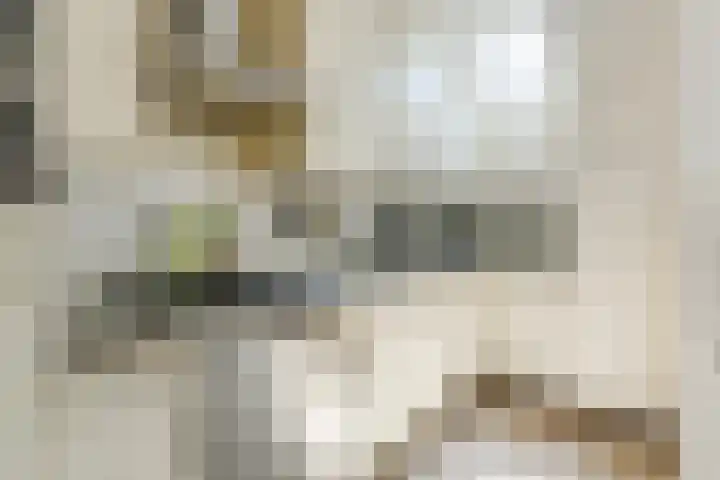 Evieveld 1 Gemert thumbnail 18