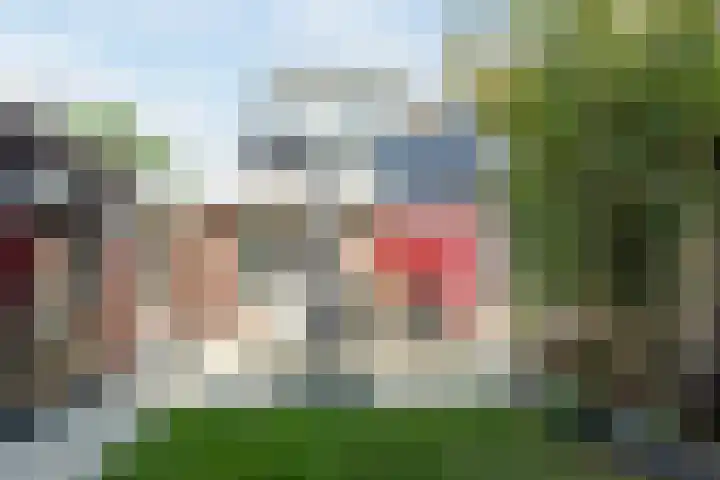 Evieveld 1 Gemert foto 2