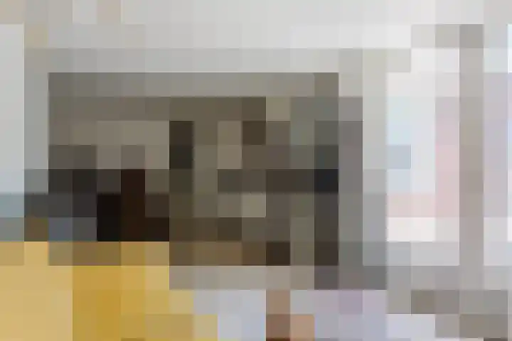 Evieveld 1 Gemert thumbnail 21