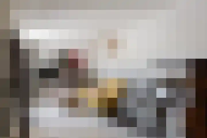 Evieveld 1 Gemert thumbnail 22