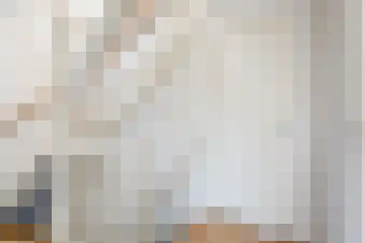 Evieveld 1 Gemert thumbnail 23