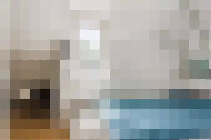 Evieveld 1 Gemert thumbnail 24