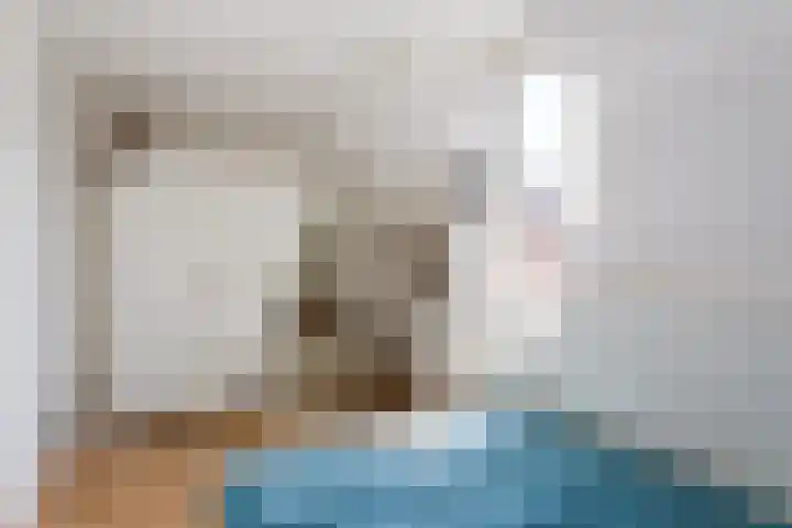 Evieveld 1 Gemert thumbnail 25