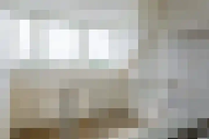 Evieveld 1 Gemert thumbnail 34