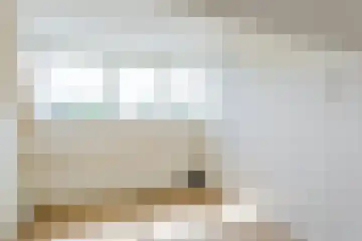 Evieveld 1 Gemert thumbnail 35