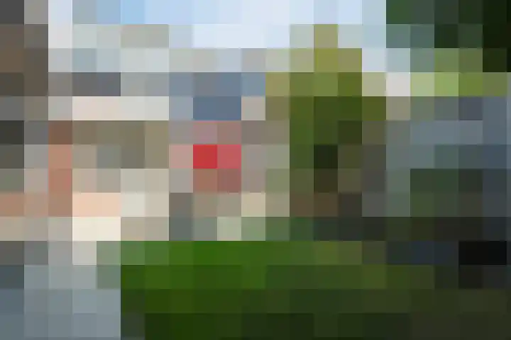 Evieveld 1 Gemert thumbnail 37