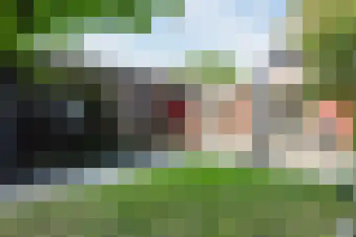 Evieveld 1 Gemert thumbnail 40