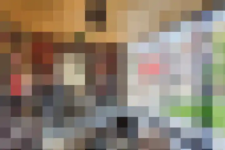 Evieveld 1 Gemert thumbnail 41