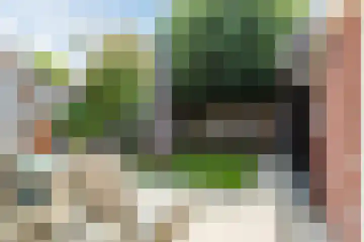 Evieveld 1 Gemert thumbnail 43