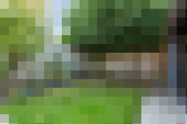 Evieveld 1 Gemert thumbnail 44