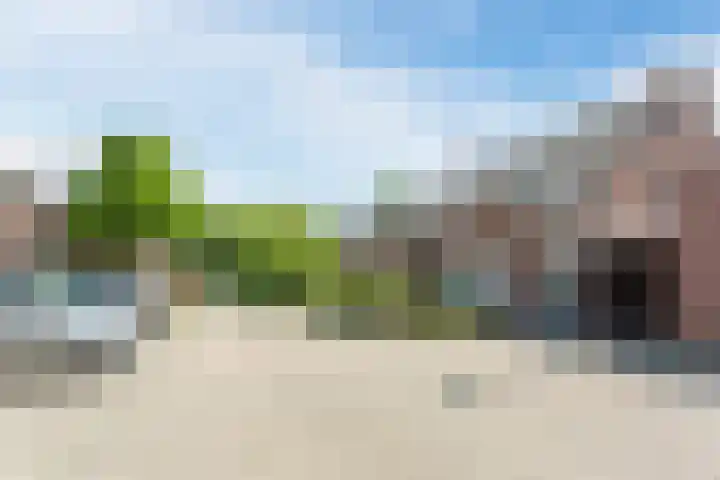 Evieveld 1 Gemert thumbnail 46