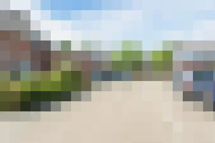 Evieveld 1 Gemert thumbnail 47