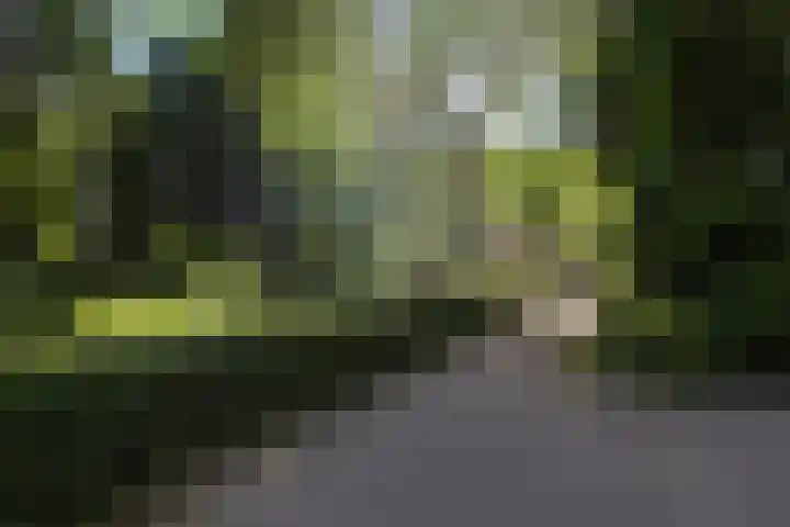 Evieveld 1 Gemert thumbnail 48