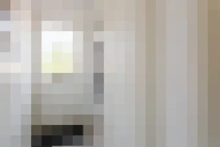 Evieveld 1 Gemert thumbnail 6