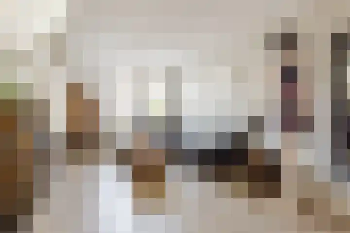 Evieveld 1 Gemert thumbnail 9