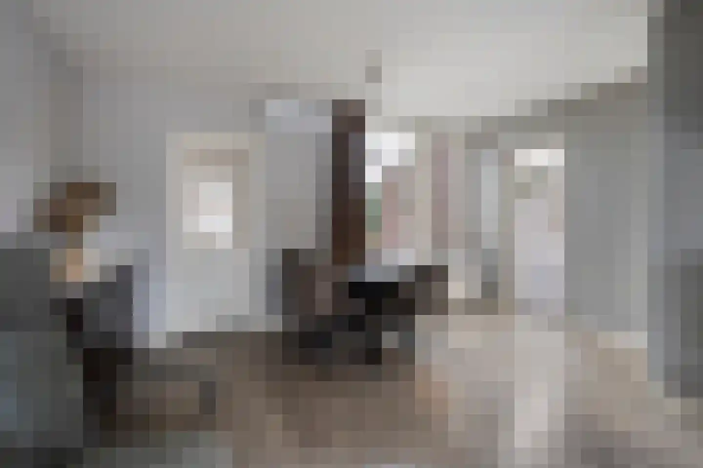 Evieveld 9 Gemert thumbnail 10