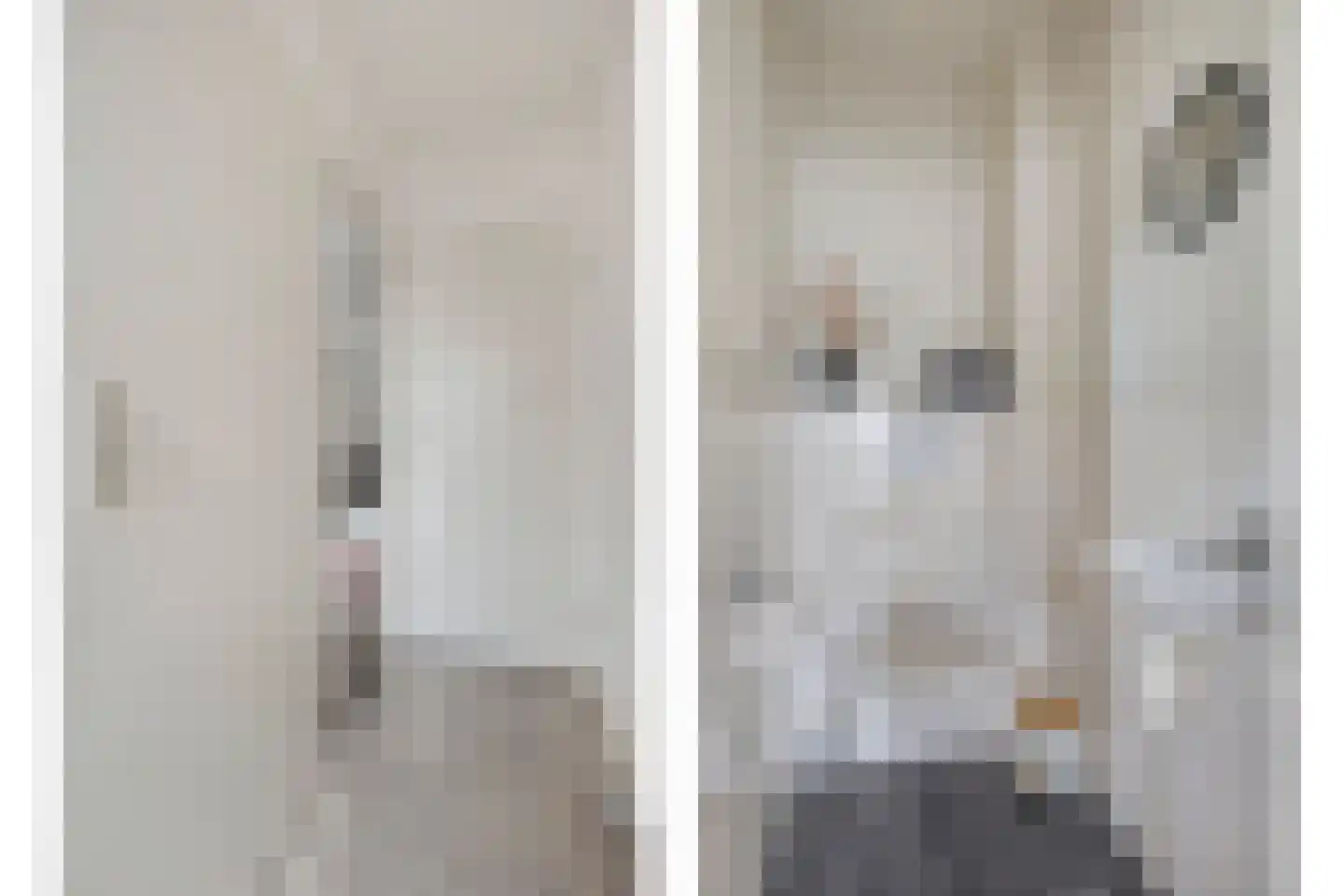 Evieveld 9 Gemert thumbnail 11