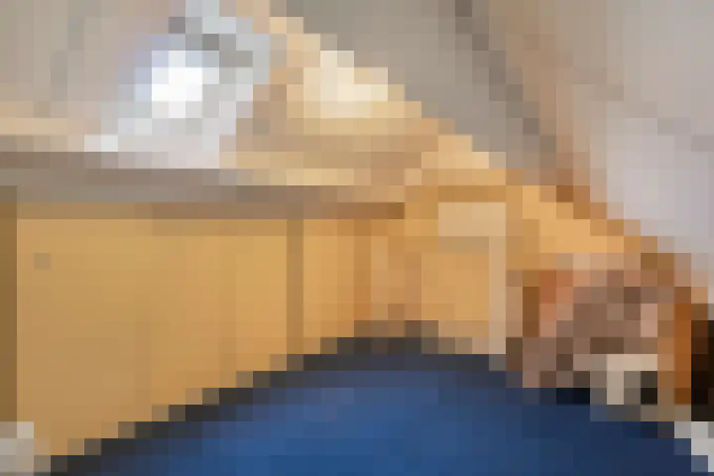 Evieveld 9 Gemert thumbnail 23