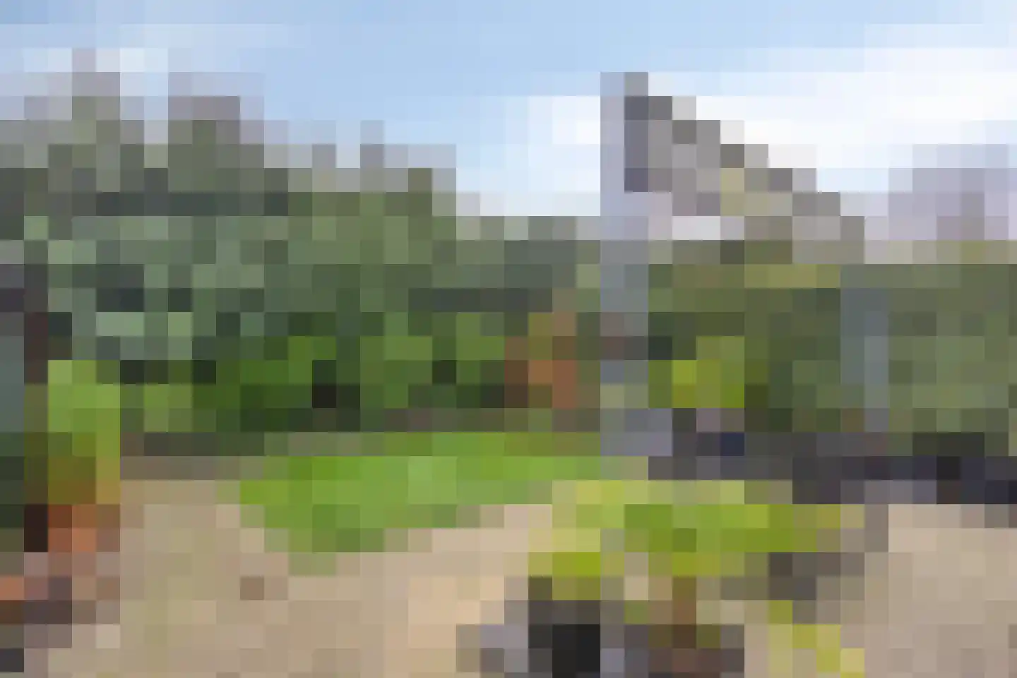 Evieveld 9 Gemert thumbnail 25