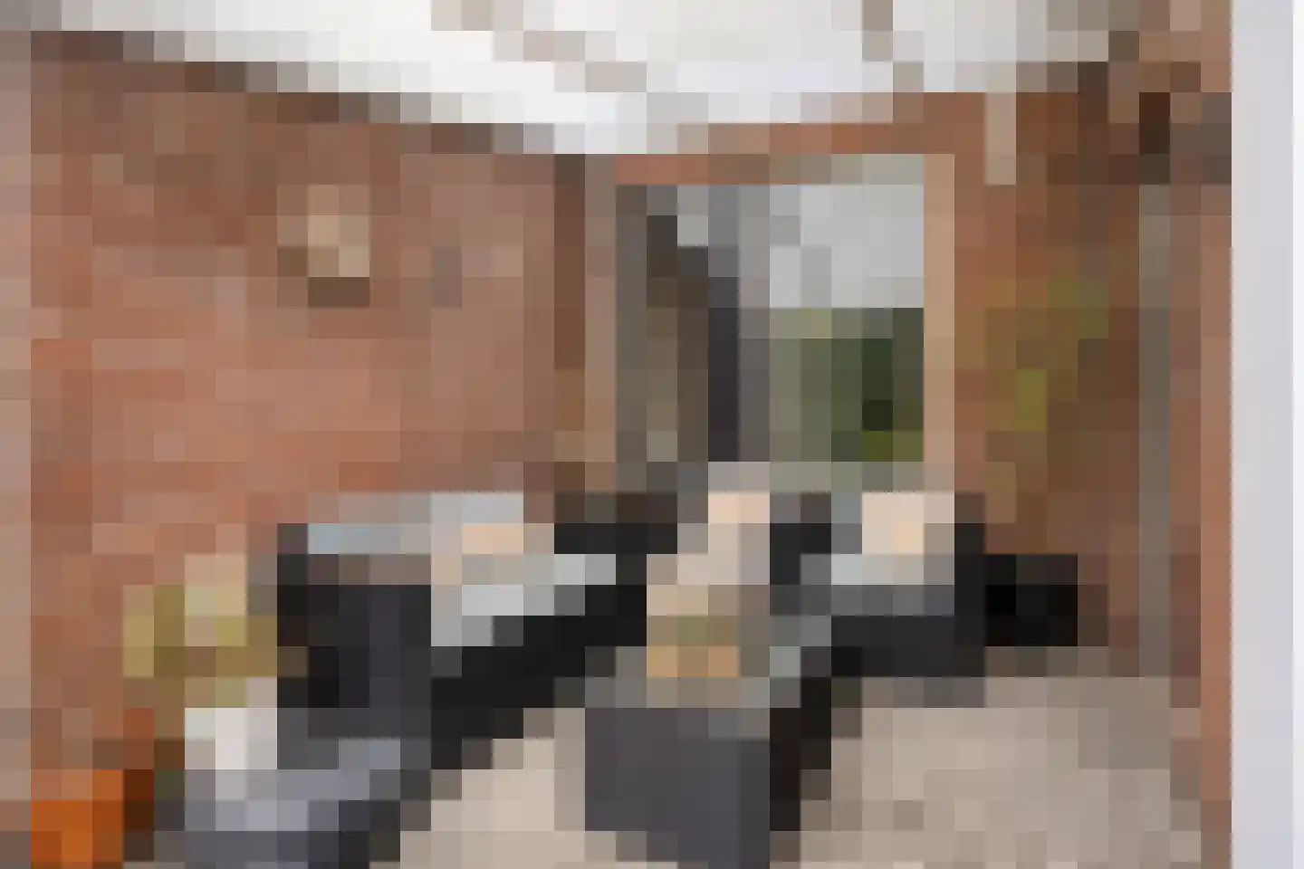 Evieveld 9 Gemert thumbnail 26