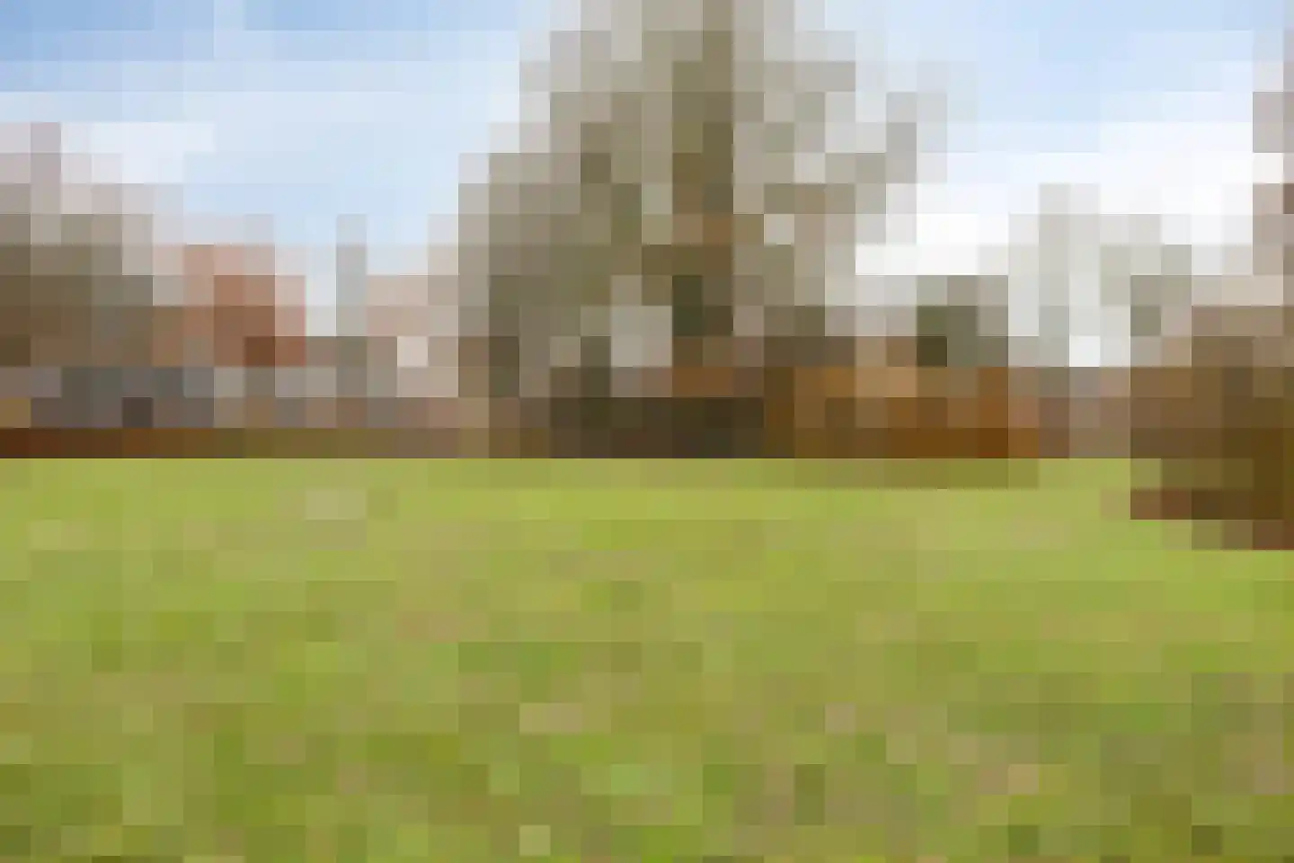 Evieveld 9 Gemert thumbnail 29