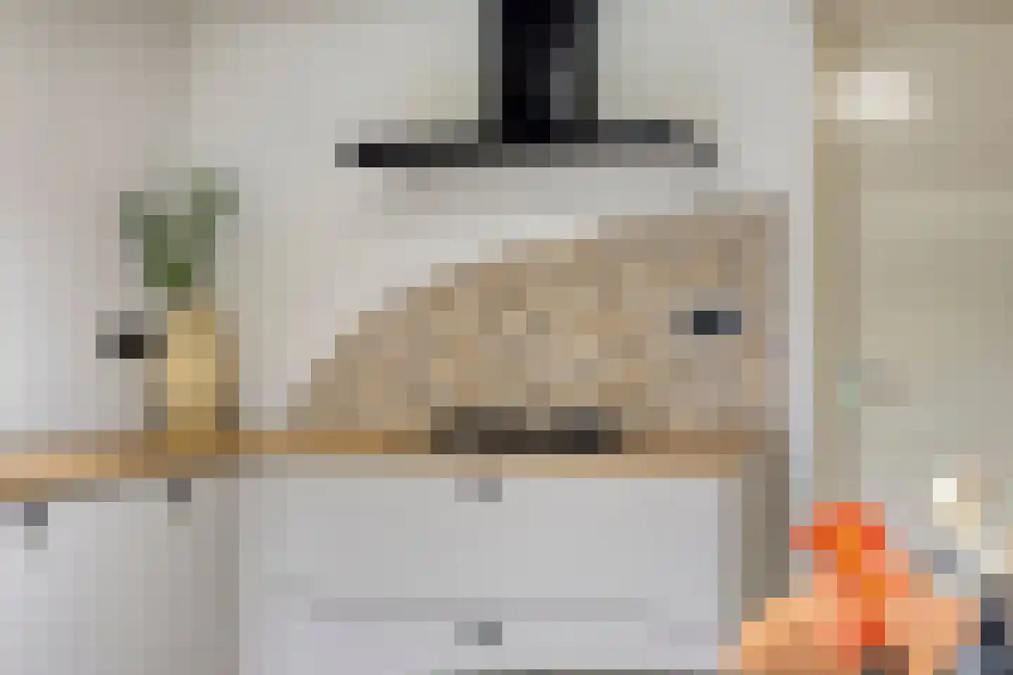 Evieveld 9 Gemert thumbnail 5