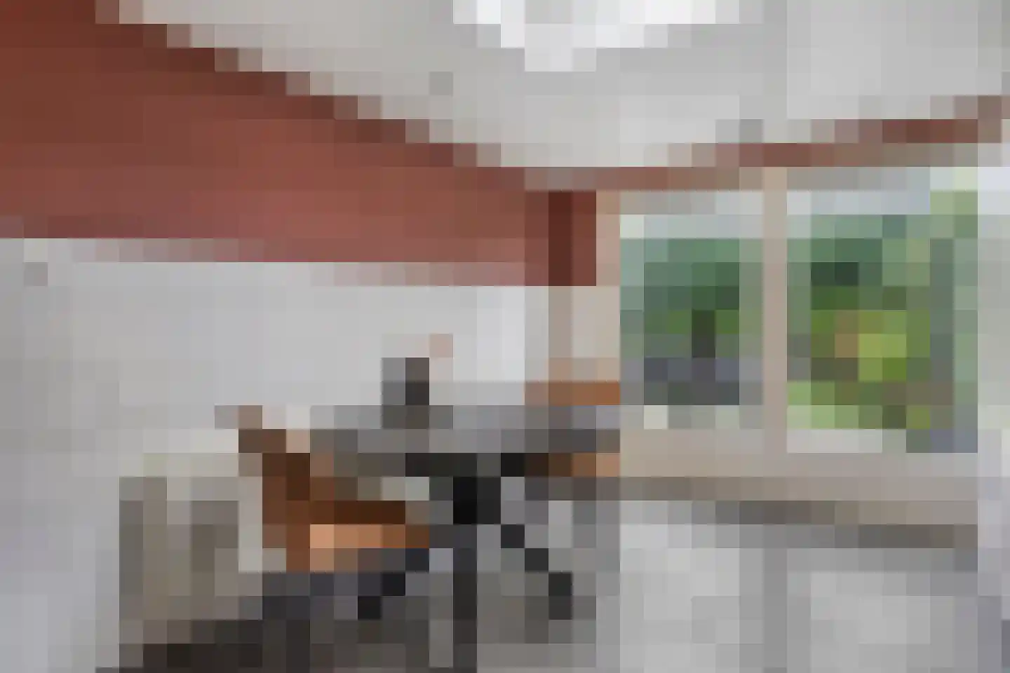 Evieveld 9 Gemert thumbnail 6