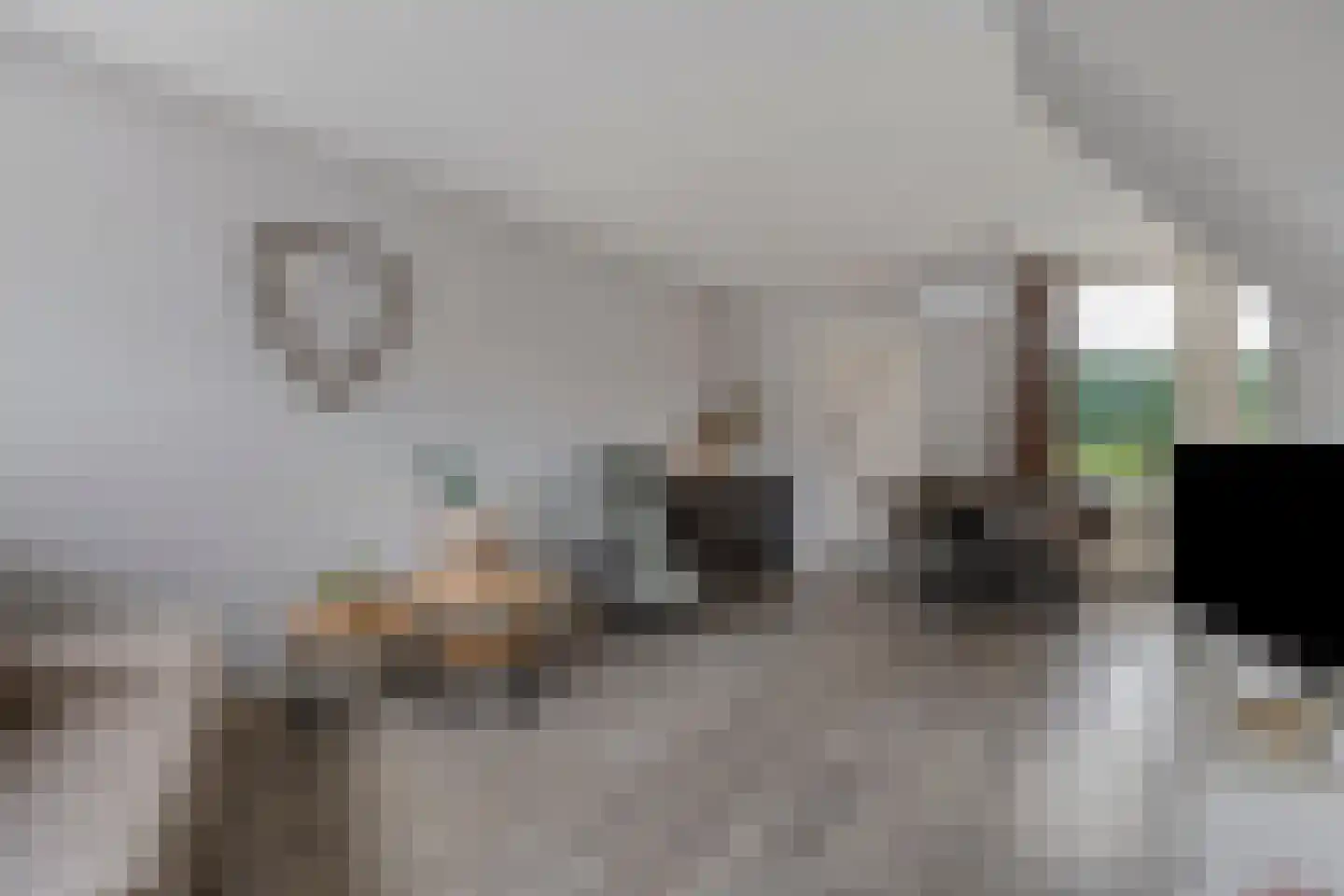 Evieveld 9 Gemert thumbnail 7