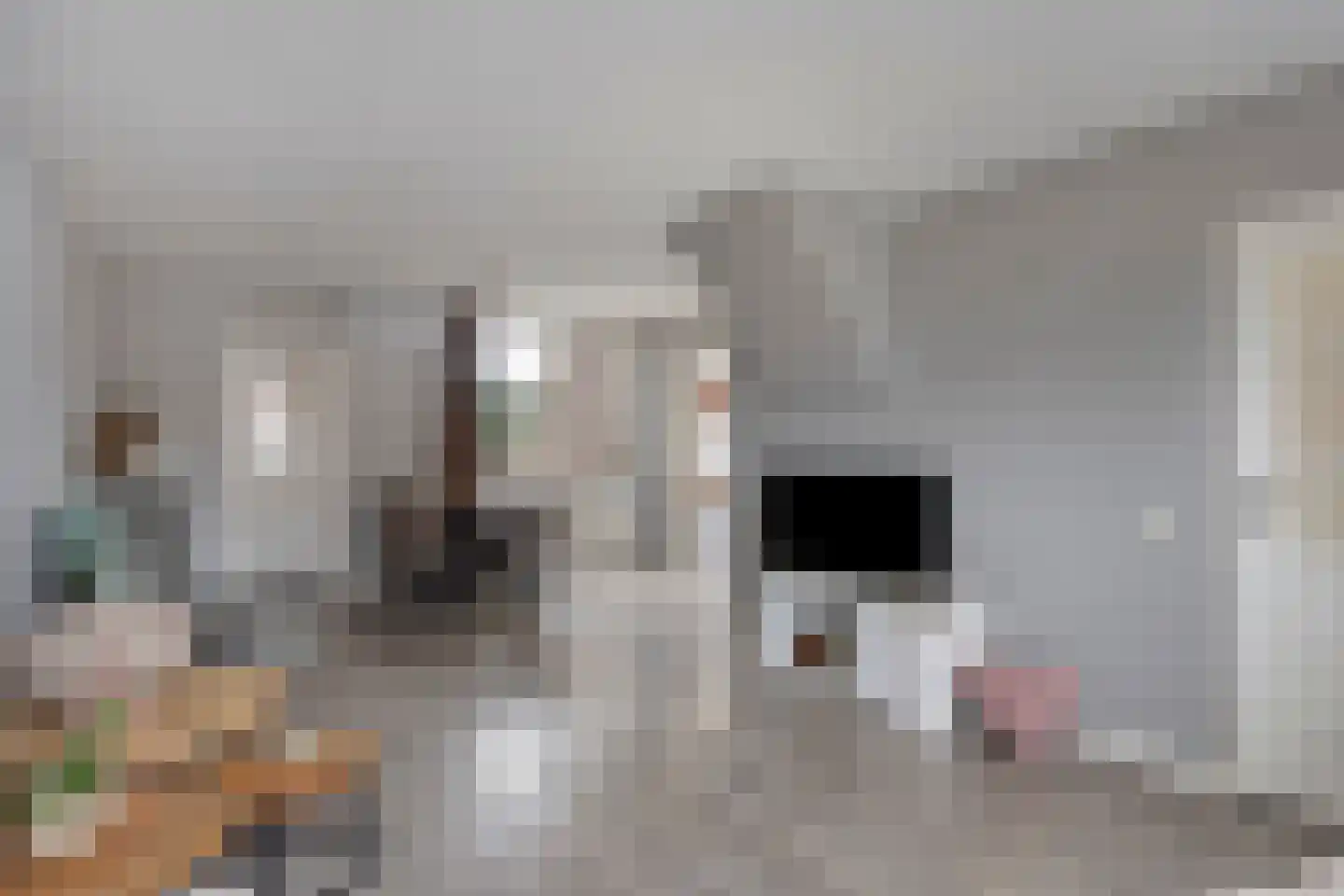 Evieveld 9 Gemert thumbnail 9