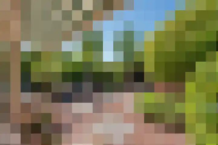 Evoragroen 15 Zoetermeer thumbnail 11