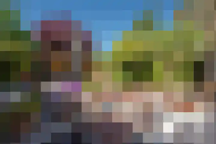 Evoragroen 15 Zoetermeer thumbnail 12
