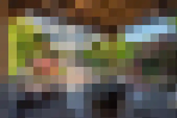 Evoragroen 15 Zoetermeer thumbnail 15