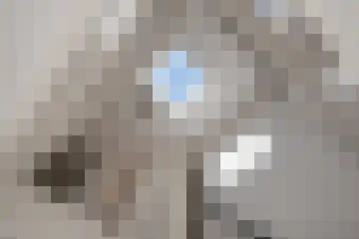 Evoragroen 15 Zoetermeer thumbnail 24