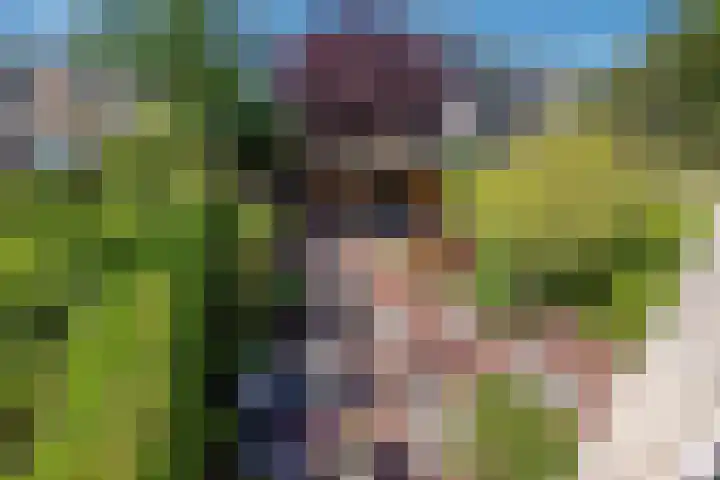 Evoragroen 15 Zoetermeer thumbnail 31
