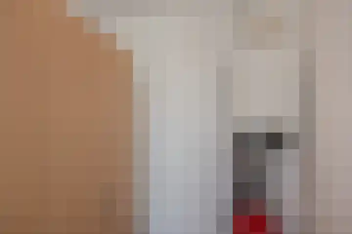 Evoragroen 15 Zoetermeer thumbnail 37