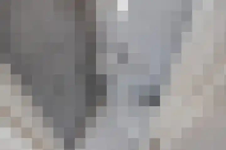 Evoragroen 15 Zoetermeer thumbnail 38