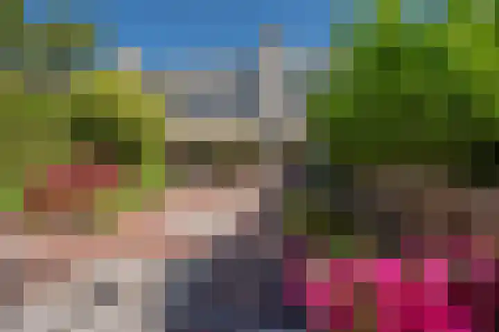 Evoragroen 15 Zoetermeer thumbnail 4