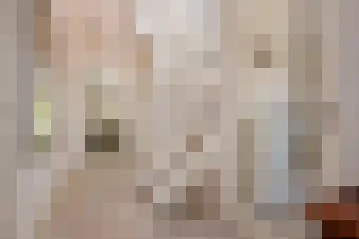 Evoragroen 15 Zoetermeer thumbnail 6