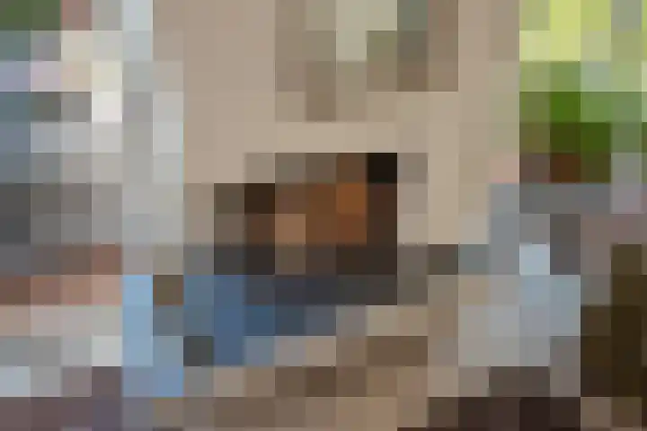 Evoragroen 15 Zoetermeer thumbnail 9