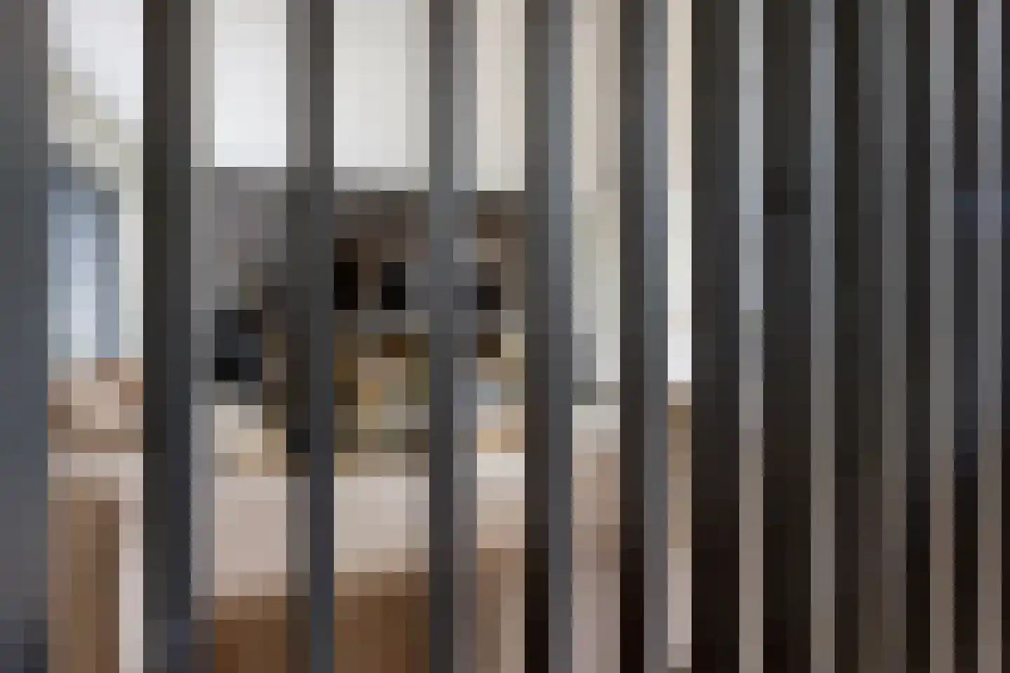 Evreuxlaan 33 Eindhoven thumbnail 6
