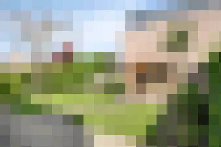 Evreuxlaan 58 Eindhoven thumbnail 26