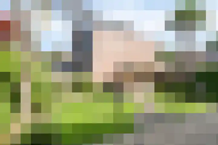 Evreuxlaan 58 Eindhoven thumbnail 27