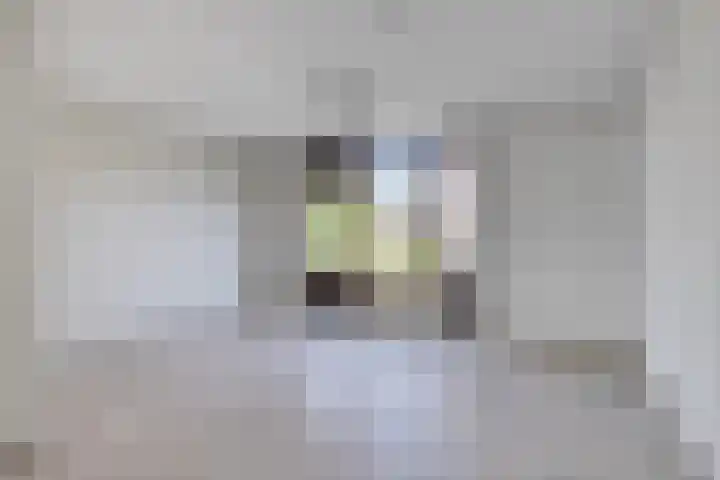 Evreuxlaan 58 Eindhoven thumbnail 7
