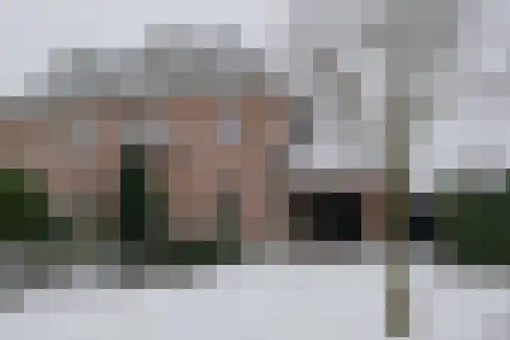 Evvesboer 15 in Geesteren