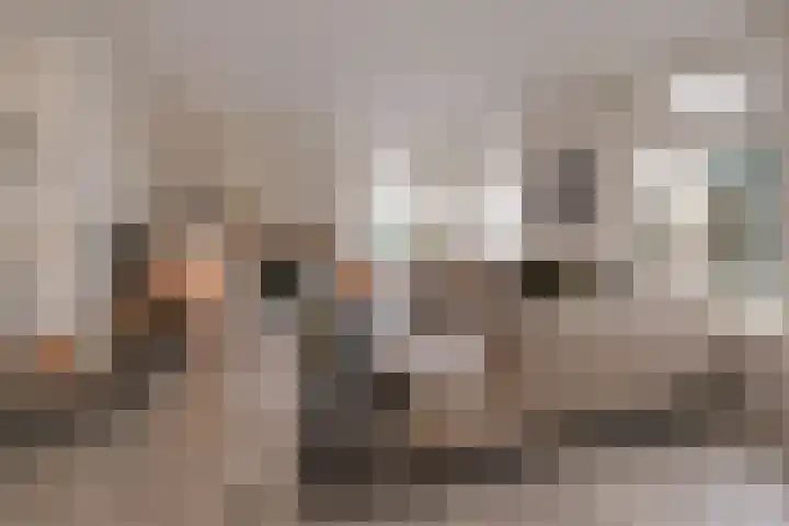 Evvesboer 15 Geesteren thumbnail 10