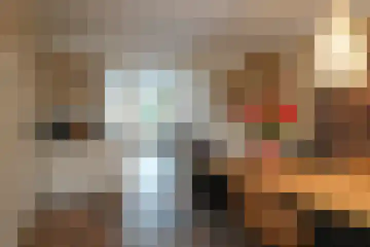 Evvesboer 15 Geesteren thumbnail 13