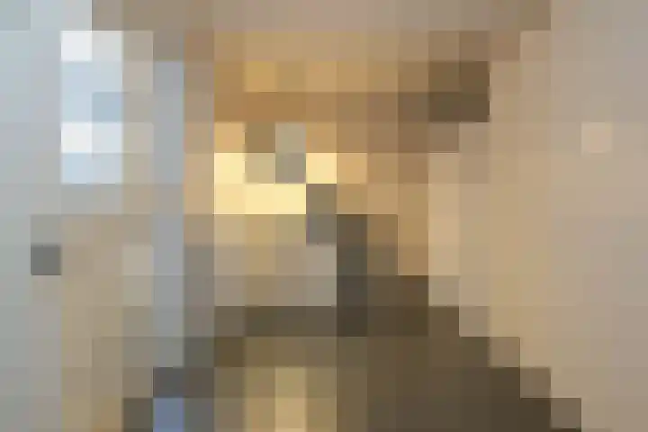 Evvesboer 15 Geesteren thumbnail 19