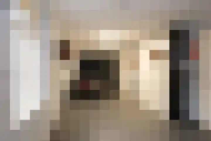 Evvesboer 15 Geesteren thumbnail 20