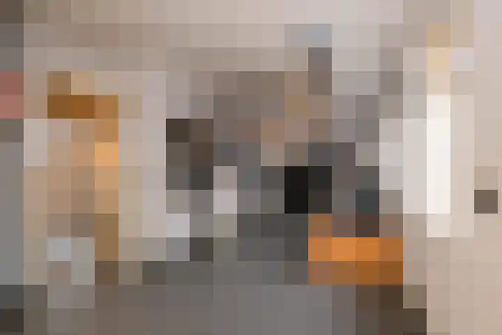 Evvesboer 15 Geesteren thumbnail 21